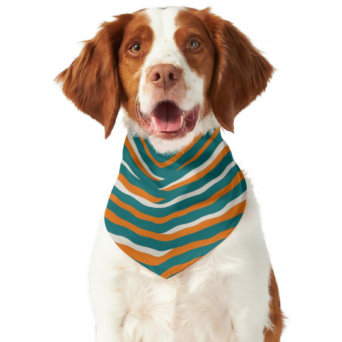 Miami Football Game Day All-Over Print Pet's Scarf