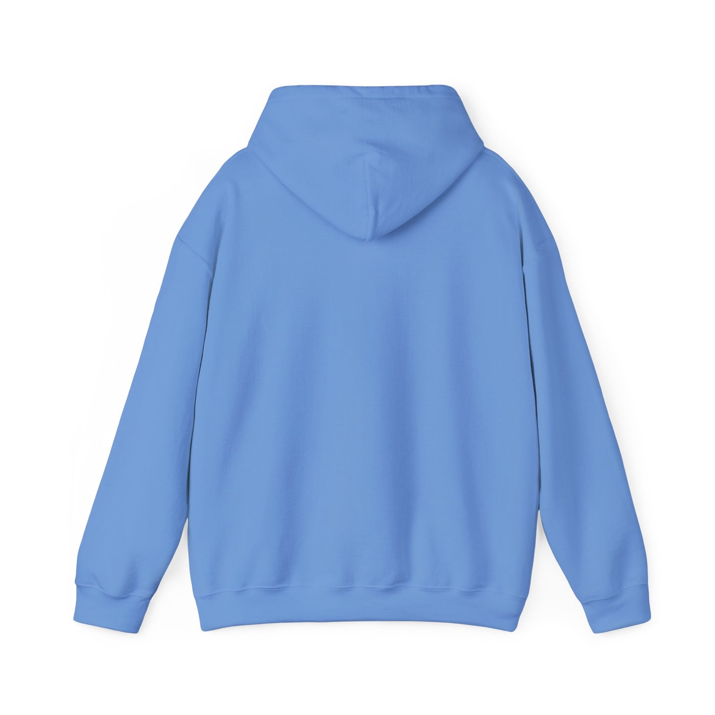 SEDONA Arizona varsity Hooded Sweatshirt hooded sweater