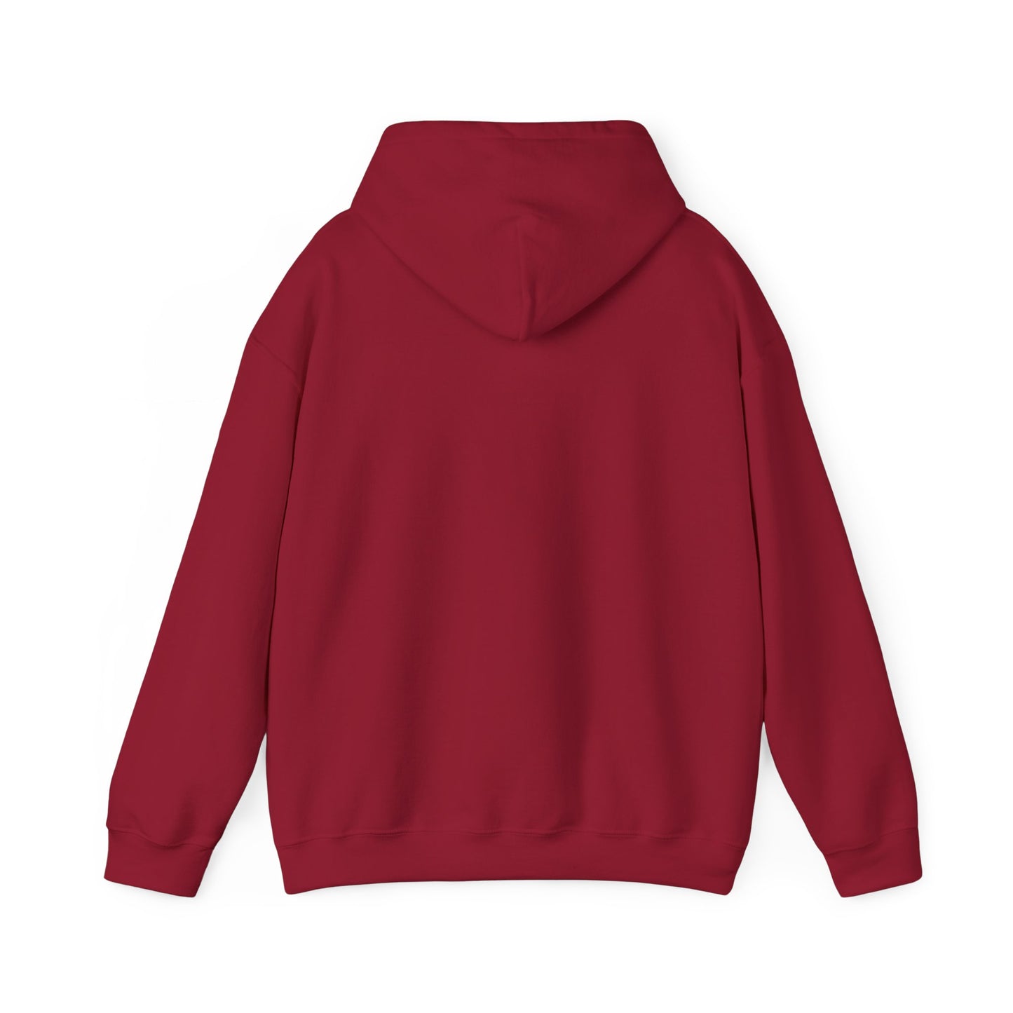 SEDONA Arizona varsity Hooded Sweatshirt hooded sweater
