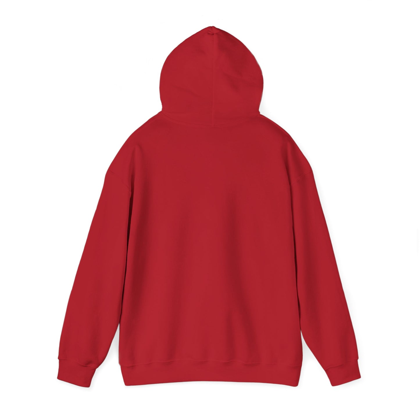 SEDONA Arizona varsity Hooded Sweatshirt hooded sweater