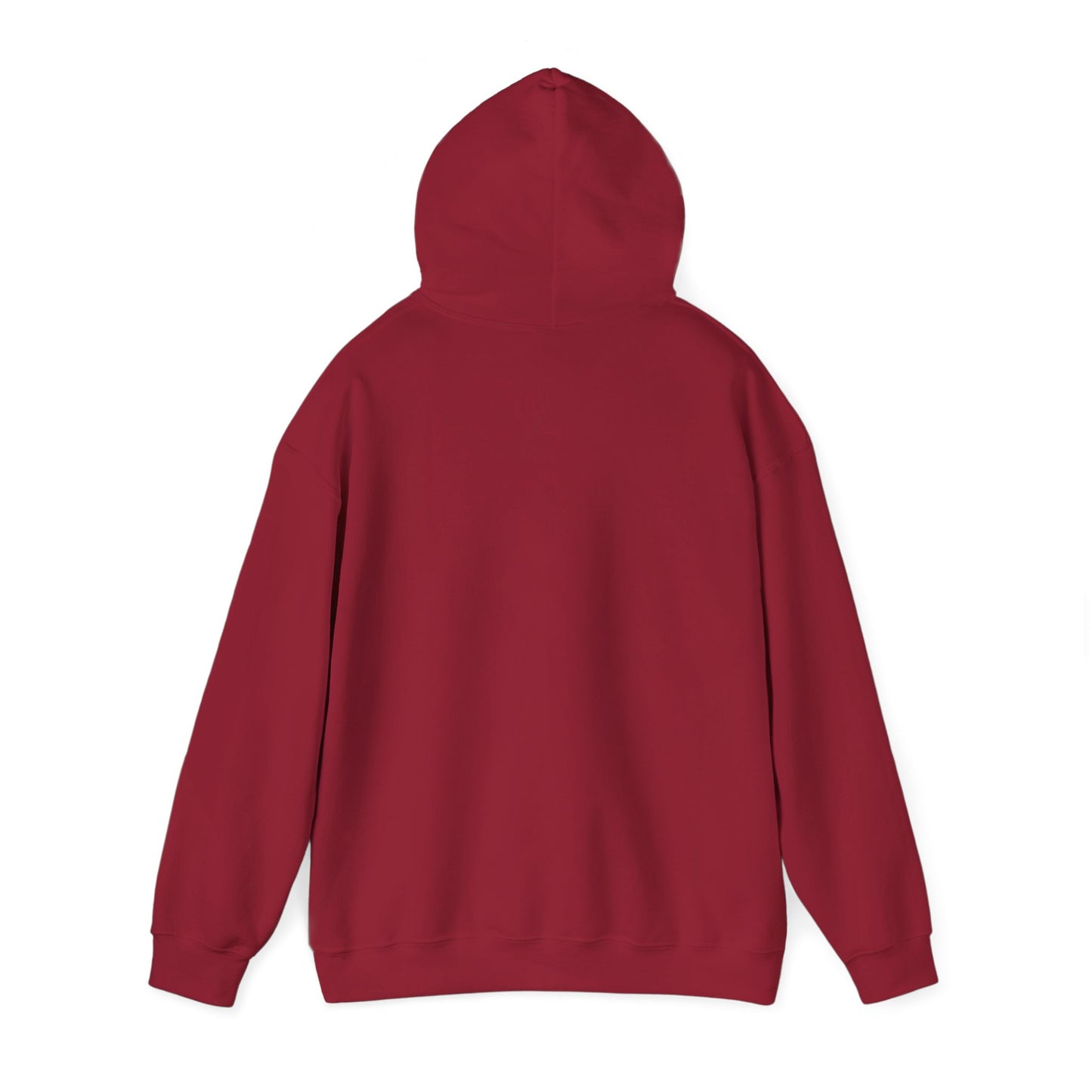 SEDONA Arizona varsity Hooded Sweatshirt hooded sweater
