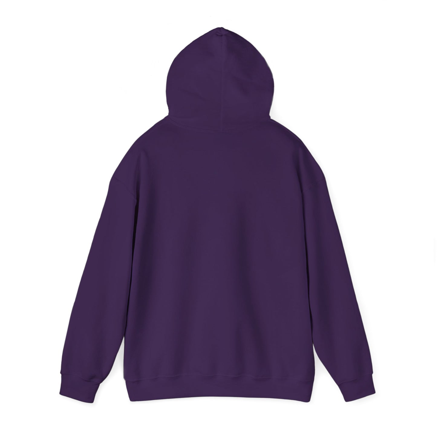 SEDONA Arizona varsity Hooded Sweatshirt hooded sweater
