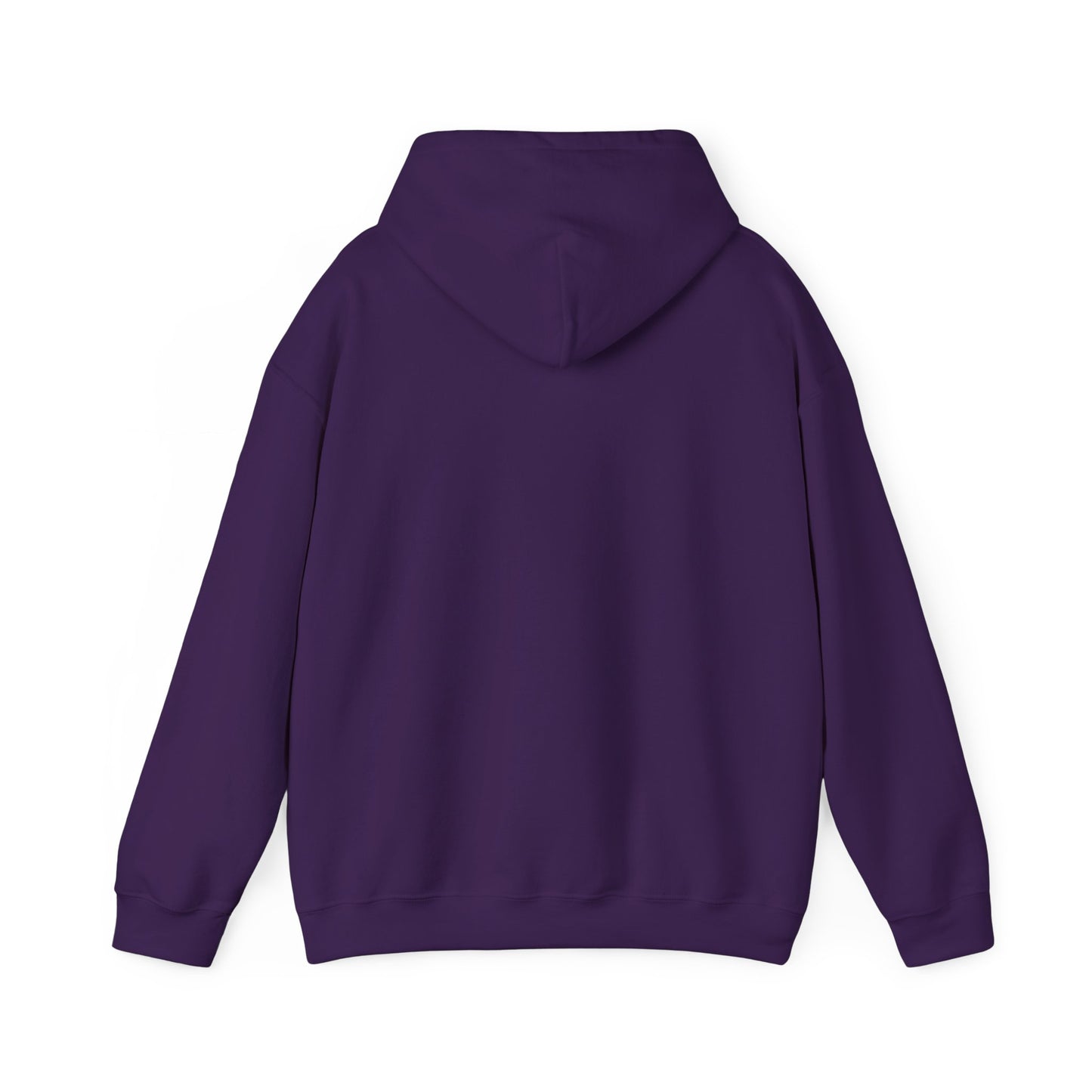 SEDONA Arizona varsity Hooded Sweatshirt hooded sweater