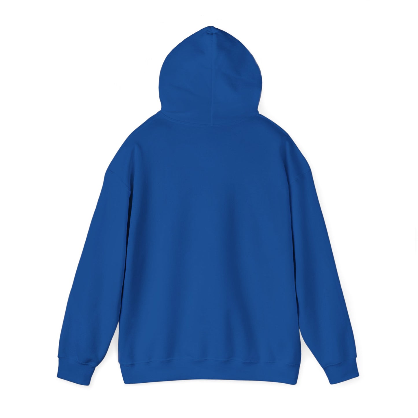 SEDONA Arizona varsity Hooded Sweatshirt hooded sweater