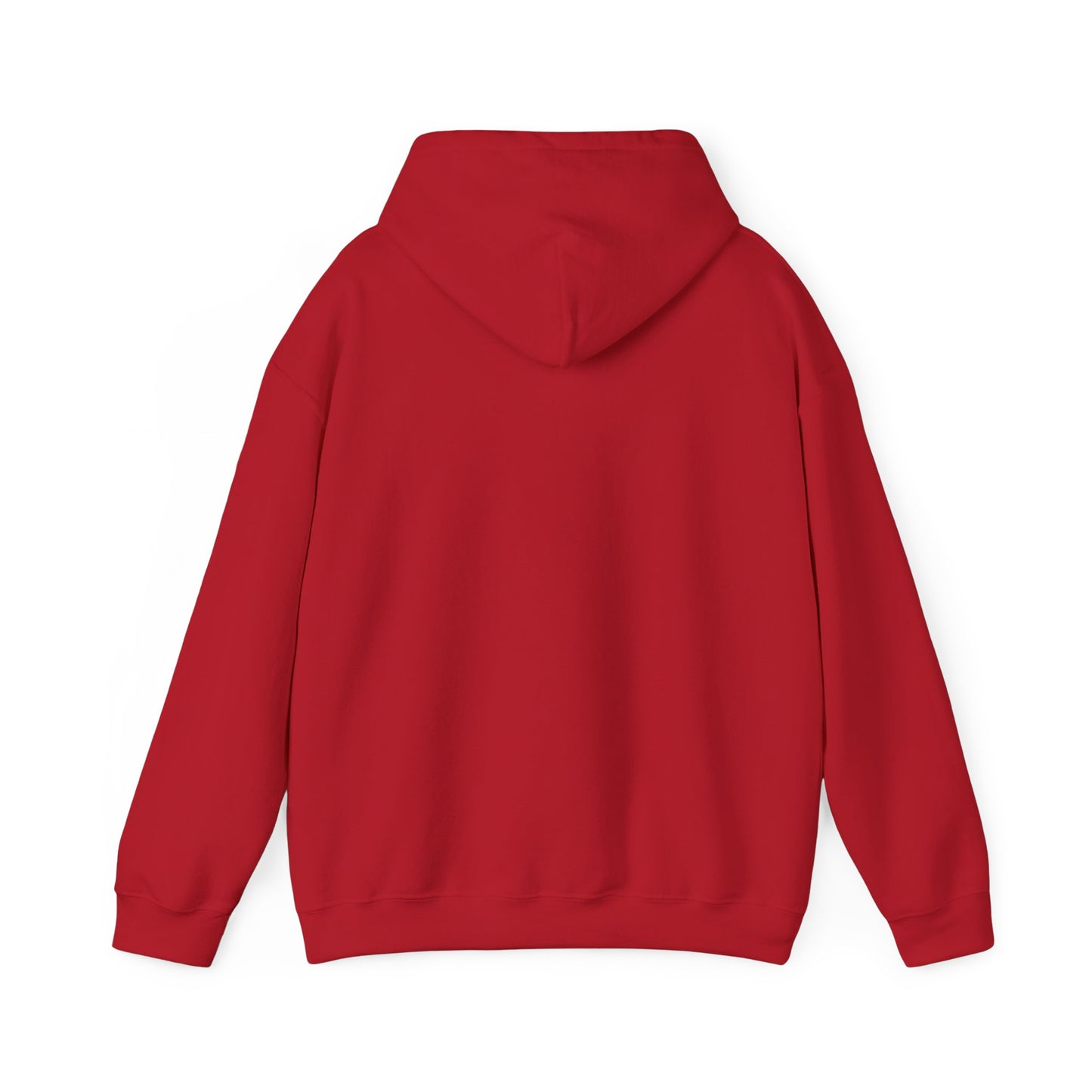 SEDONA Arizona varsity Hooded Sweatshirt hooded sweater