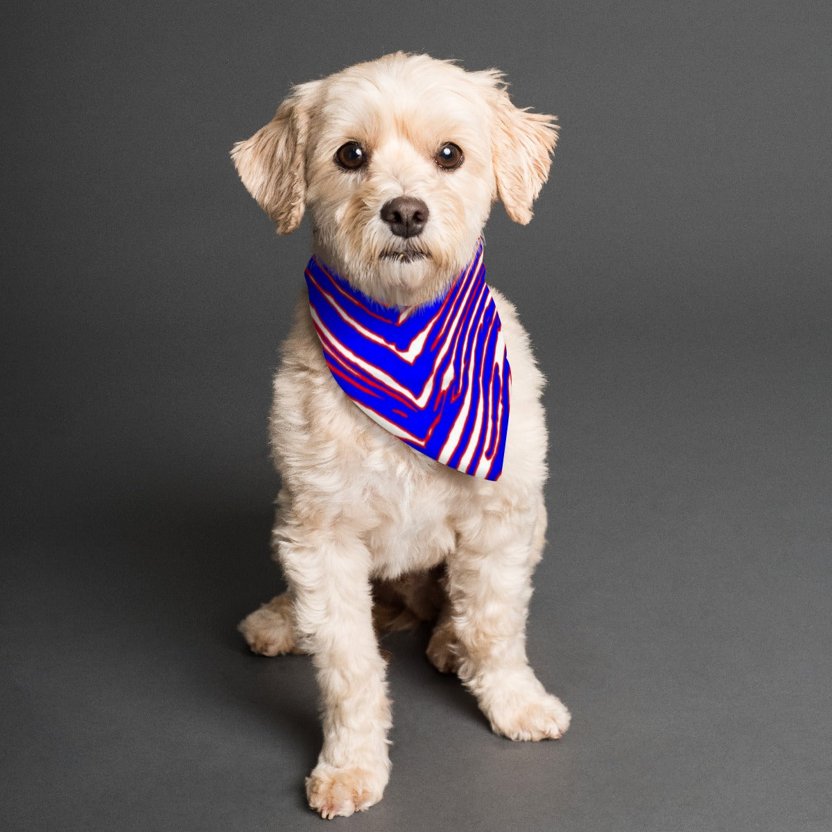 Buffalo Bills Zubaz Pet's Scarf