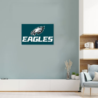 Philadelphia Football Game Day Framed Single-Piece Mural For The USA 3:2