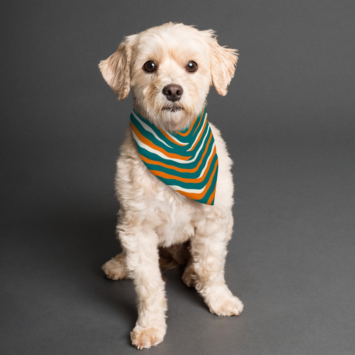 Miami Football Game Day All-Over Print Pet's Scarf