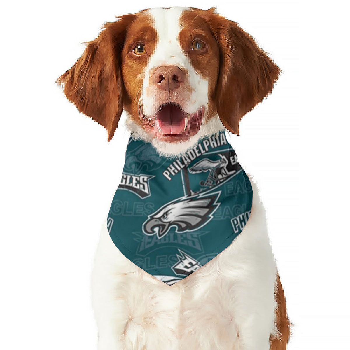 Philadelphia Football Game Day All-Over Print Pet's Scarf