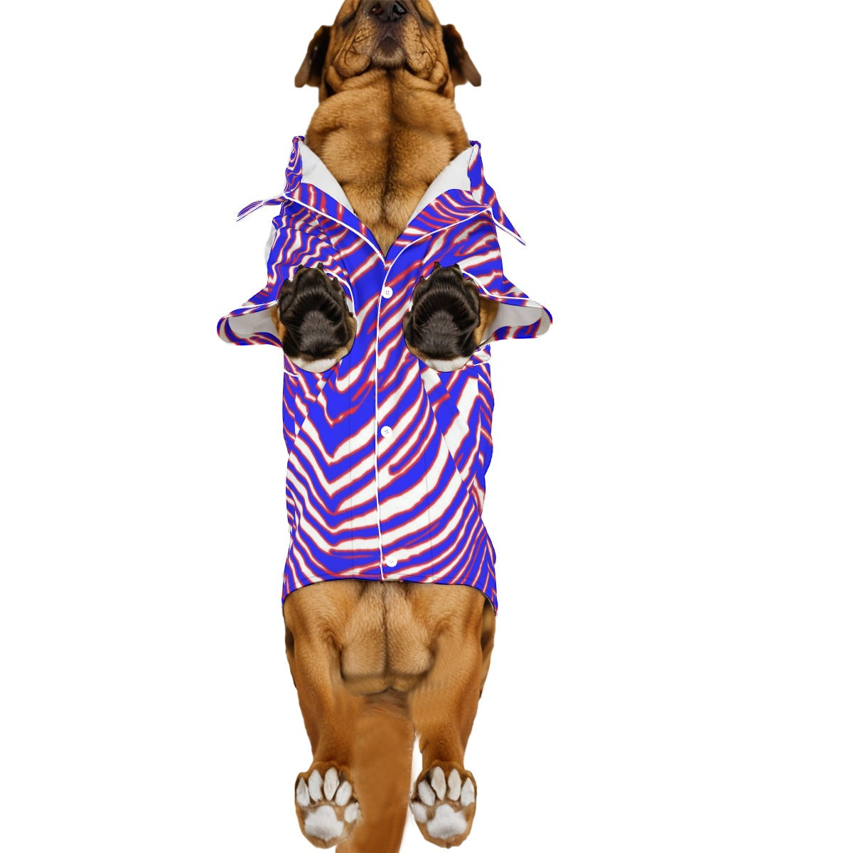 Buffalo Bills Zubaz Pajamas