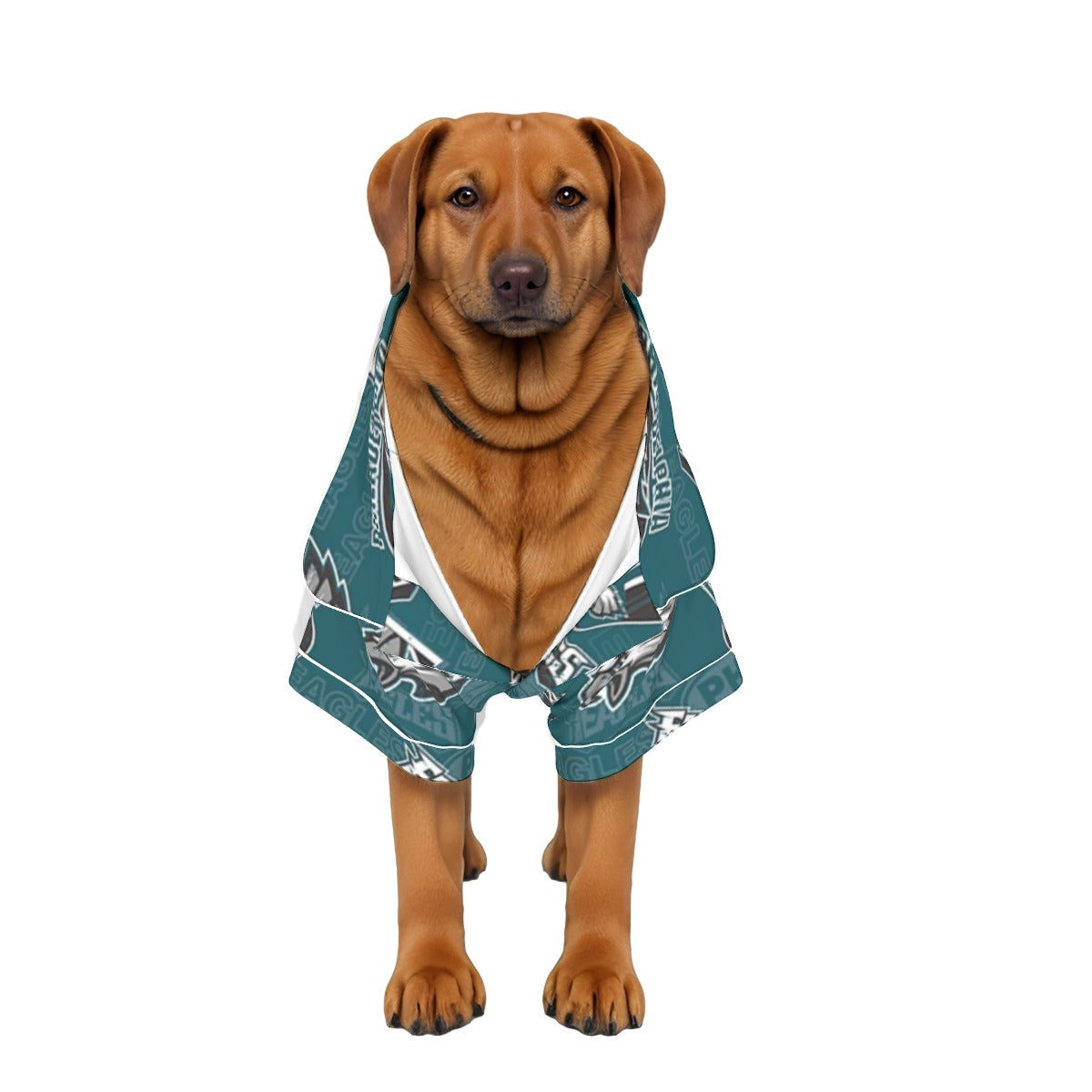 Philadelphia Football Game Day All-Over Print Pajamas