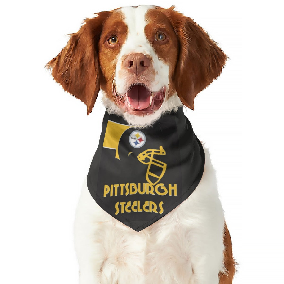 All-Over Print Pet's Scarf